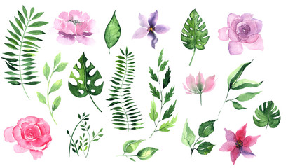 Watercolor elements floral clipart with pink and lilac tropical flowers magnolias and leaves