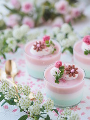 春スイーツ 3色ゼリー