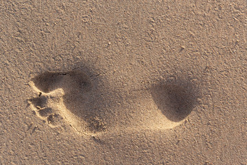Fototapeta na wymiar Trail of a bare foot of a man on the sand. Print on a wet surface illuminated by the evening sun.