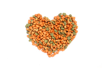 Dog food on isolated white