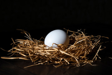 White egg in a nest on a black background. Close-up