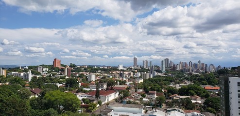 Obraz premium vegetação na cidade
