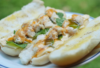 Roasted chicken sandwich close up shot