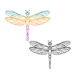 Dragonfly and butterfly in hand drawn sketch style. Line art. Tatoo art. Black and white and colourful design elements isolated on white background. Vector illustration
