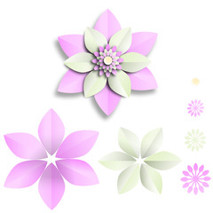 Flowers paper cut and composition isolated on white background of pastel color ,vector or illustration