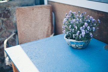 small lilac flowers in a blue pot. concept of international women's day, spring, March 8