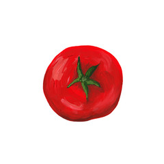 Red round tomato top view. Hand-drawn illustration isolated on white. Vegetable drawing