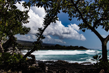 Framed Tropcial Waves