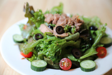 Tuna salad appetizer on wood background