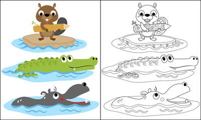 funny animals cartoon in water, beaver, crocodile, hippopotamus. Coloring page or book