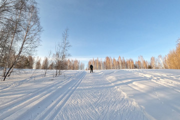 Obraz premium Man with a backpack skiing up the hill in the evening, Novosibirsk, Russia