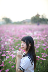 Portrait of Japanese school girl uniform with pink cosmos flower