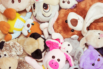 Many soft plush toys lie on floor in the children's room