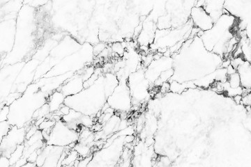 Obraz premium white background marble wall texture