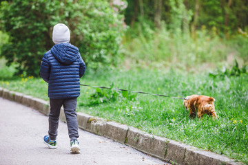 Obraz premium little kid with small brown dog running in city park