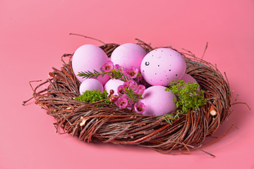 Nest with beautiful Easter eggs on color background