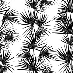 seamless pattern on a white background of black vertically lined black silhouettes of the Washingtonia Palm. tropical plants palm leaves