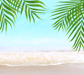 green coconut palm leaves trees on beautiful sand beach