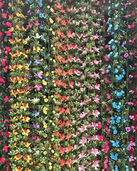 plastic colorful flower in vertical garden background