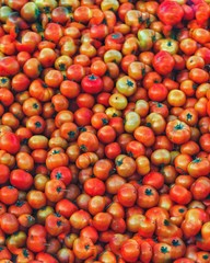 tomatoes in the market