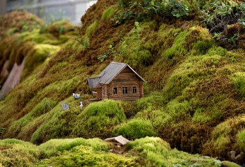 A miniature figurine of a wooden house is surrounded by an artificially created hilly landscape of moss.