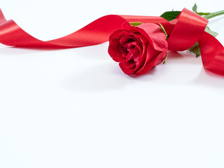 Single red rose with red ribbon.