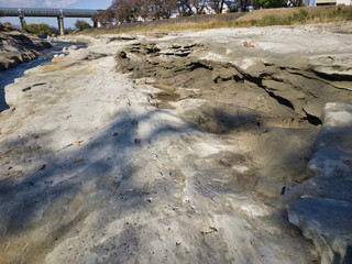 Miraculous scenery created by fossils of trees 1.7 to 2 million years ago. Most citizens do not...