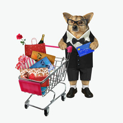The beige dog in a black suit and glasses with a credit card in his paw is pushing the metal...
