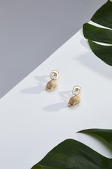 Subject shot of a pair of stud earrings on the white and gray surface surrounded with green tropic leaves. Each earring is made as a golden irregular shaped ring with a sea-shell pendan.