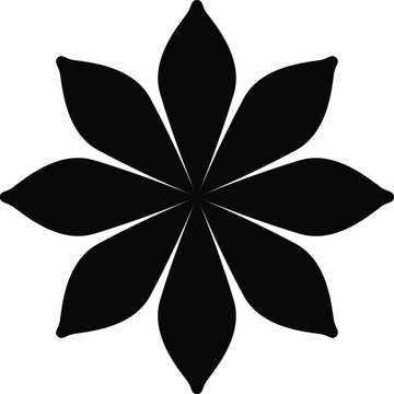 Star Anise icon