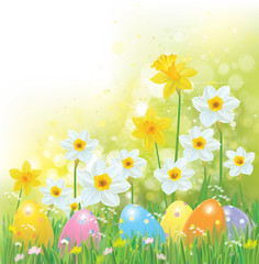 Vector Easter eggs in grass and daffodils, Easter background.