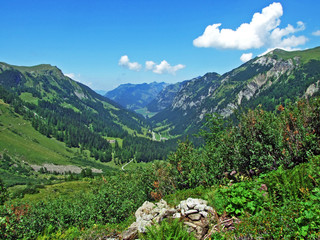 A secluded farm with vast pastures at the end of the picturesque Naaftal Alpine Valley and in the...