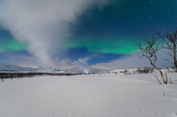 Aurora boreal vista en Tromso durante la larga noche artica