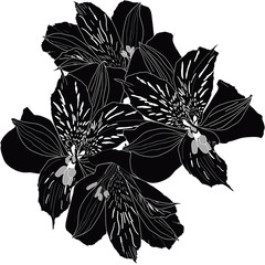 large flowers black silhouette on white