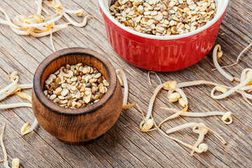 Mung beans on wooden table
