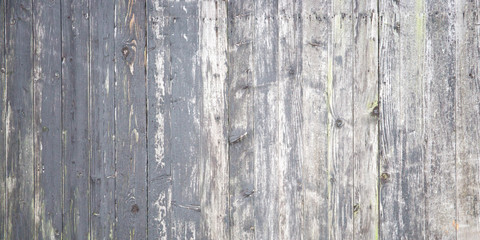 Gray wooden old painted boards background used ancient urban wallpaper