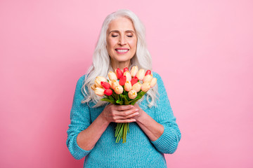 Portrait of positive charming cheerful old woman granny receive bunch of tulips smell close eyes enjoy 8-march celebration wear casual style jumper isolated over pastel color background