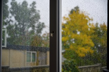 Vista de un parque en un dia lluvioso a traves de una ventana