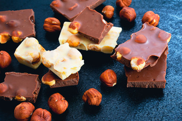 Dark and white chocolate with hazelnuts on a blue background