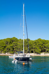 Fototapeta premium luxury big white sailing yachts at the sea 