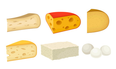 Cheese Types with Soft Cheese and Swiss Cheese Slabs Vector Set