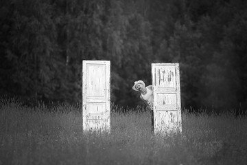 Doors in the field and farmer, concept of unusual choice for Halloween