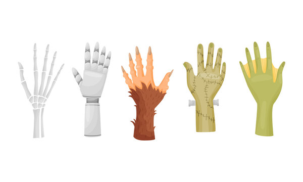 Hands and Paws of Monsters and Fantastic Creatures Like Frankenstein and Robot Vector Set