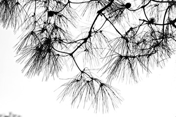 인천대공원입니다