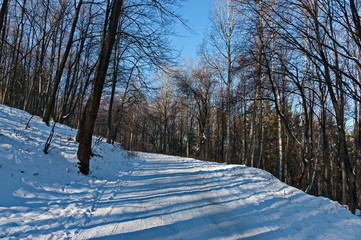 Landscape with winter forest and road in snowy Vitosha mountain, Bulgaria  