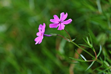 인천대공원입니다