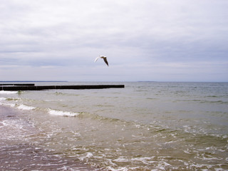 Baltic Sea coast