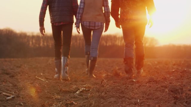 Rear view of three unrecognizable farmers walking forward along a plowed field at sunset.