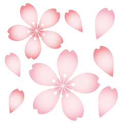 桜アイコン07