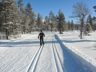 Aktiv In der Langlaufloipe unter idealen Bedingungen -Skilanglauf in Mittelschweden